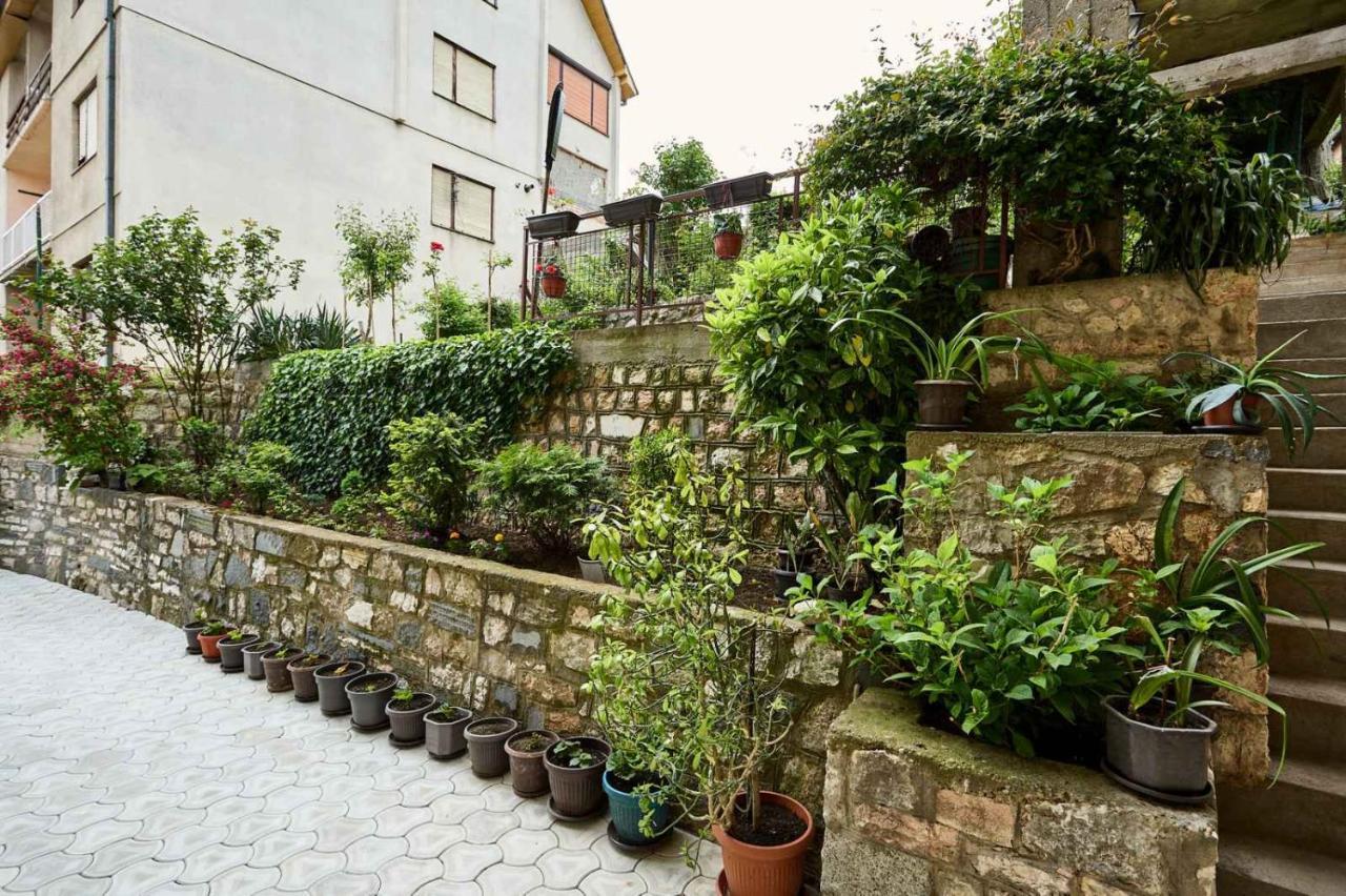 Apartmani Dr. Gasa Soko Banja Exterior photo